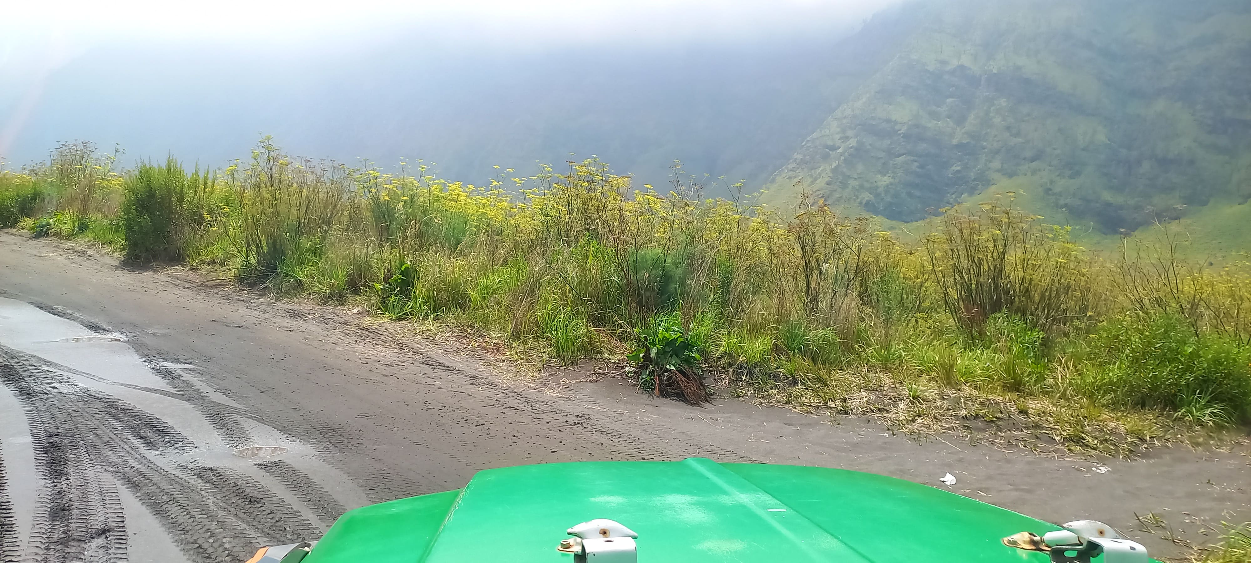 Mount Batur Jeep Tour